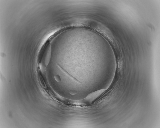 X0000091190724200708091249