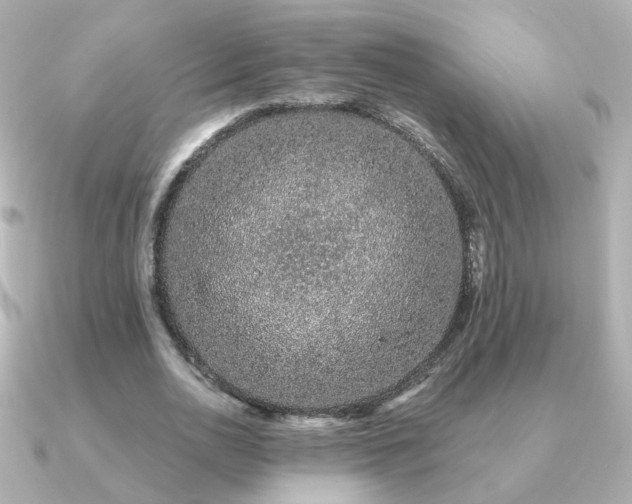 X0000091190726200708091249
