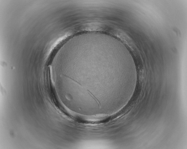 X0000091190727200708091249