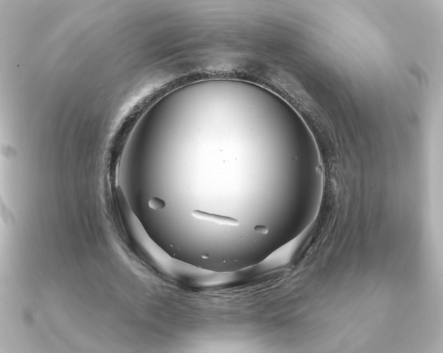 X0000091190728200708091249