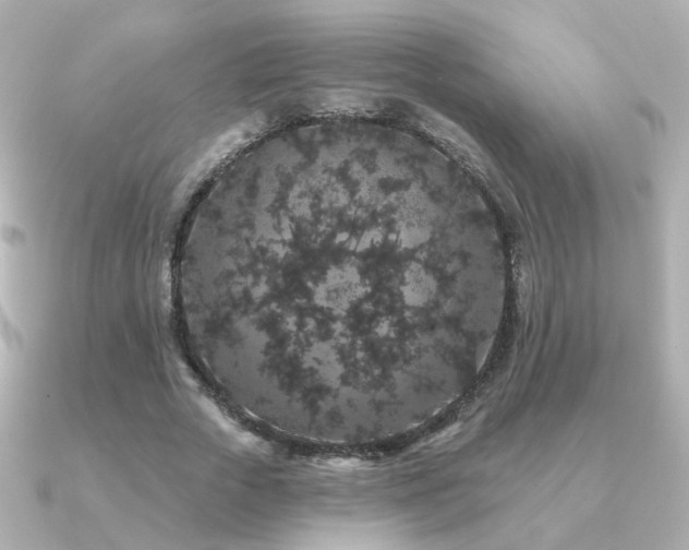 X0000091190729200708091249