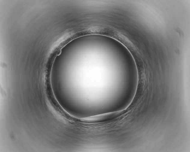 X0000091190730200708091249