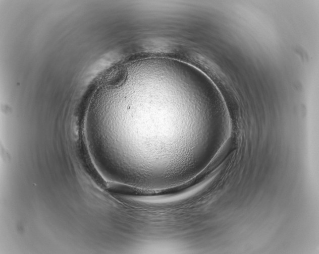 X0000091190731200708091249