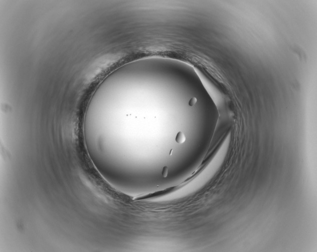 X0000091190732200708091249