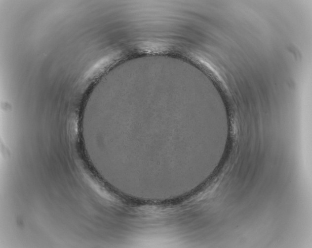 X0000091190733200708091249