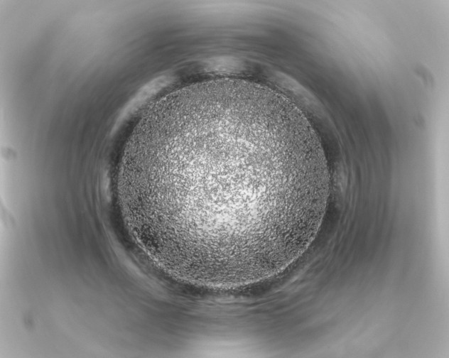 X0000091190734200708091249