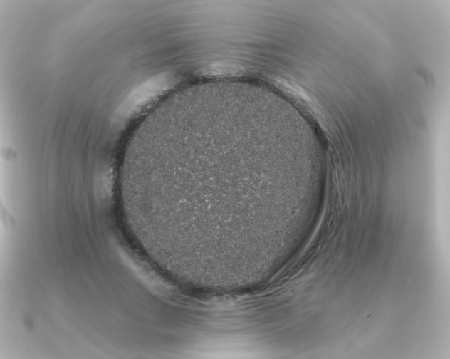 X0000091190735200708091249