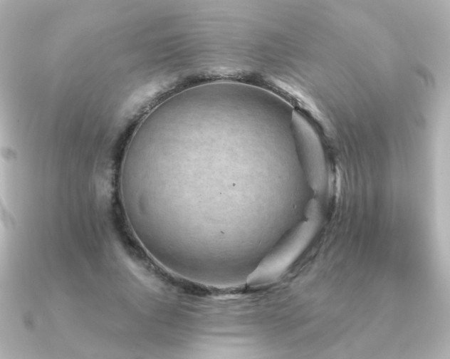 X0000091190736200708091249