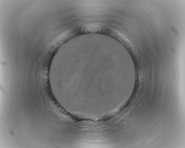 X0000091190737200708091249