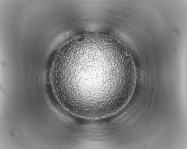X0000091190738200708091249