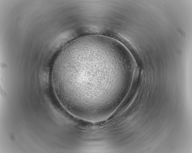 X0000091190739200708091249