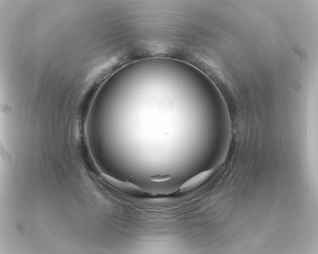 X0000091190740200708091249