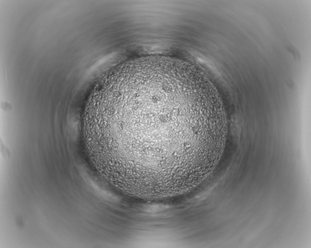 X0000091190741200708091249