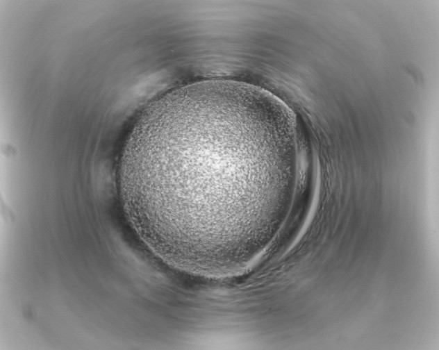 X0000091190743200708091249