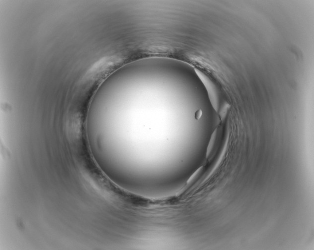 X0000091190744200708091249