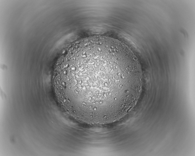 X0000091190745200708091249