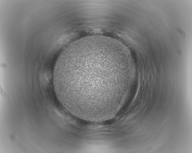 X0000091190747200708091249