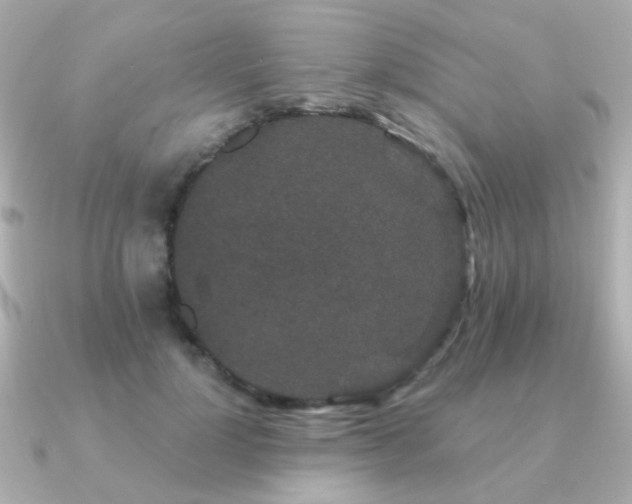 X0000091190748200708091249