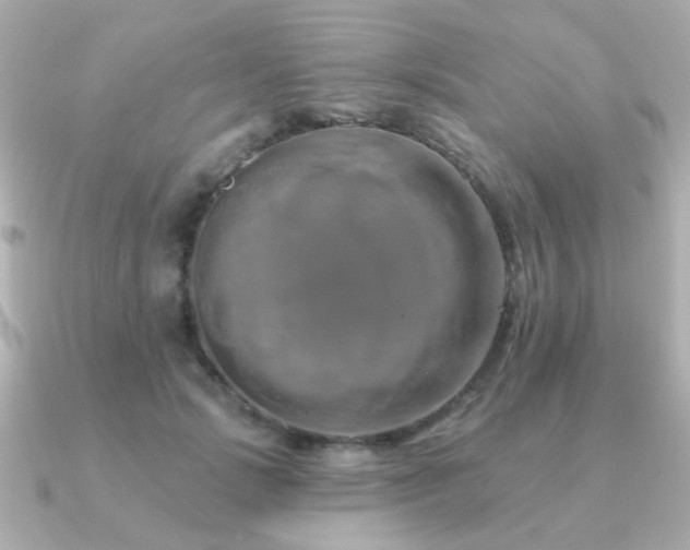 X0000091190749200708091249
