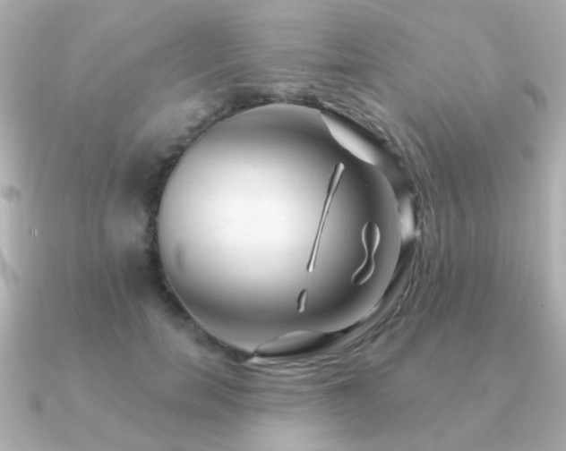 X0000091190750200708091249