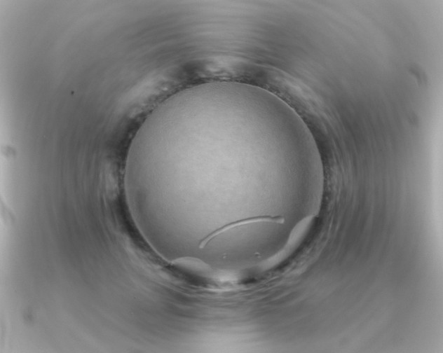 X0000091190751200708091249