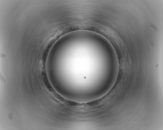 X0000091190752200708091249