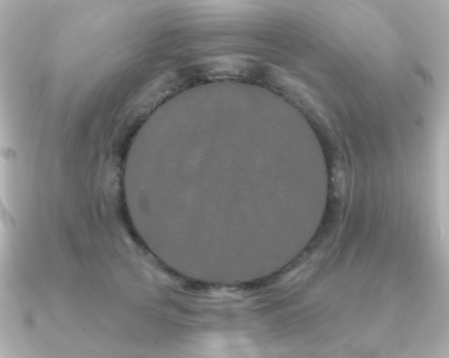 X0000091190753200708091249