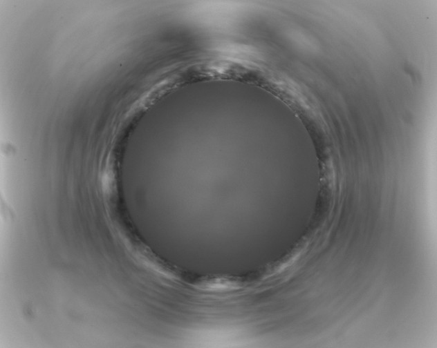 X0000091190754200708091249