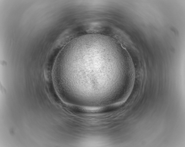 X0000091190755200708091249