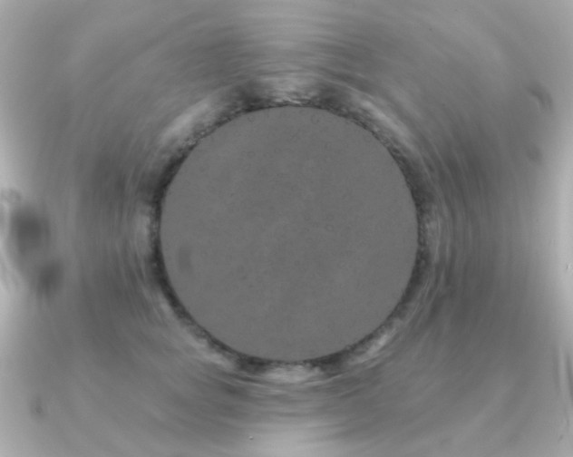 X0000091190757200708091249