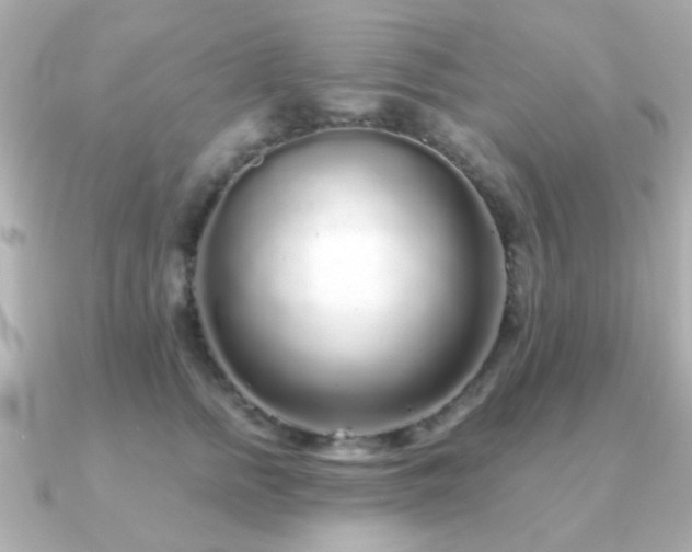 X0000091190758200708091249