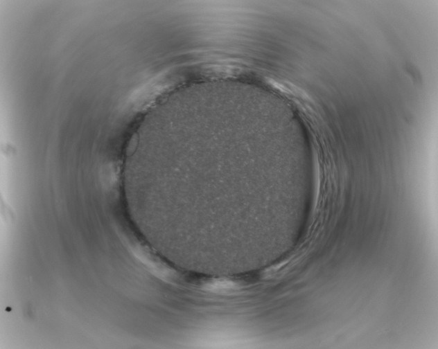 X0000091190759200708091249