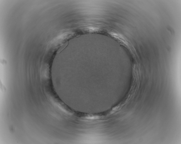 X0000091190760200708091249