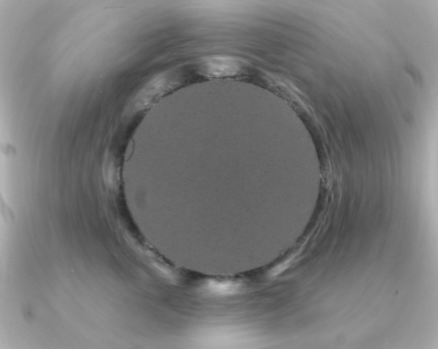 X0000091190763200708091249