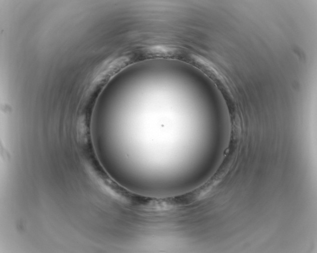 X0000091190764200708091249