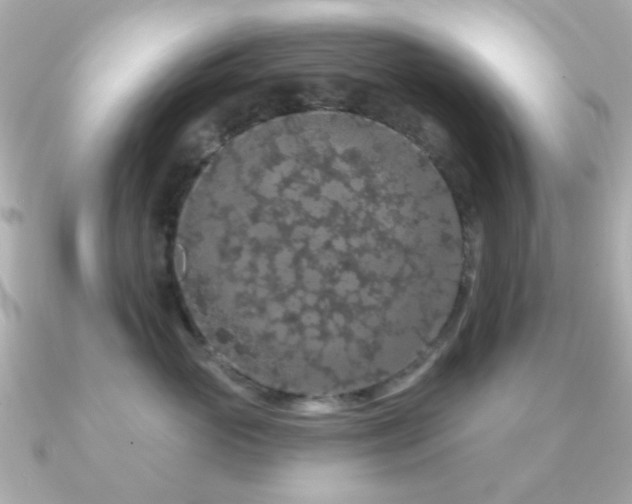 X0000091190765200708091249