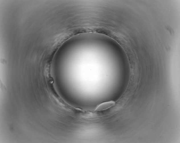 X0000091190768200708091249