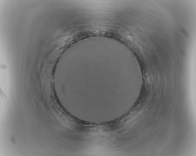 X0000091190769200708091249
