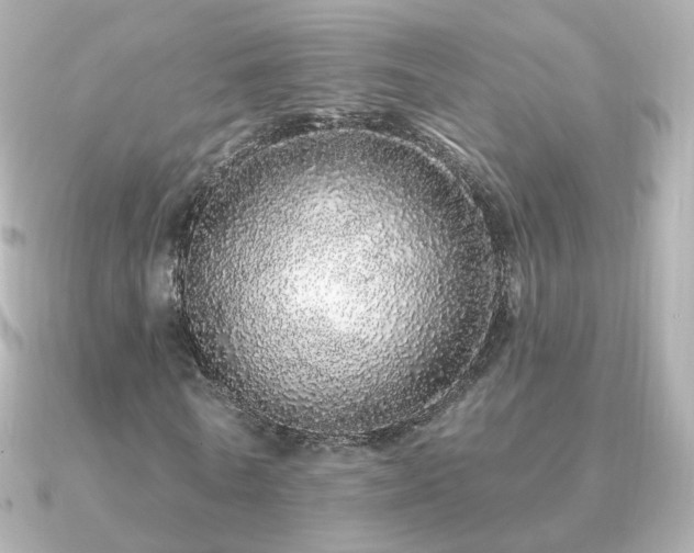 X0000091190770200708091249