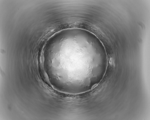 X0000091190771200708091249
