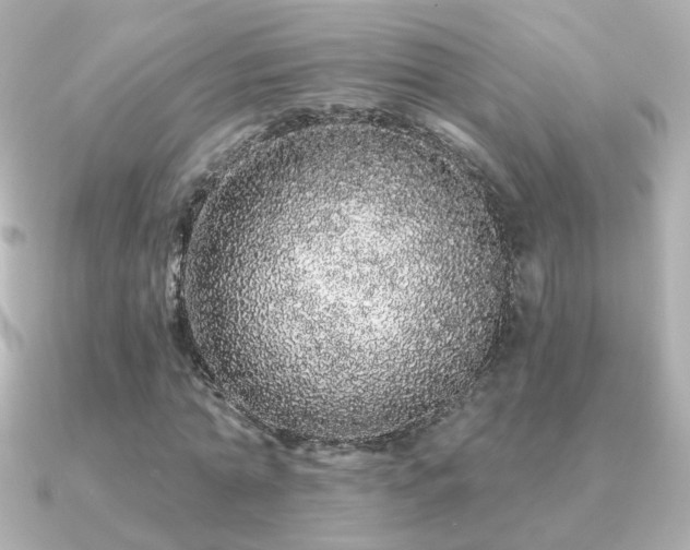X0000091190774200708091249