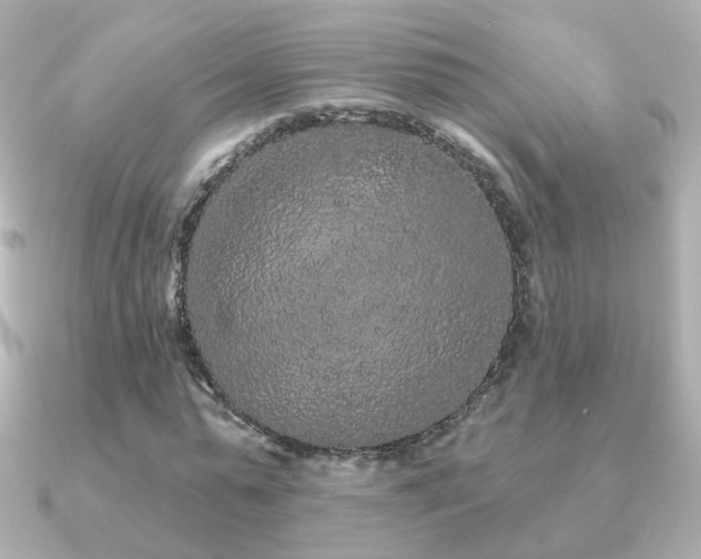 X0000091190775200708091248