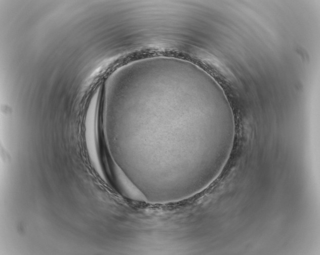 X0000091190776200708091248
