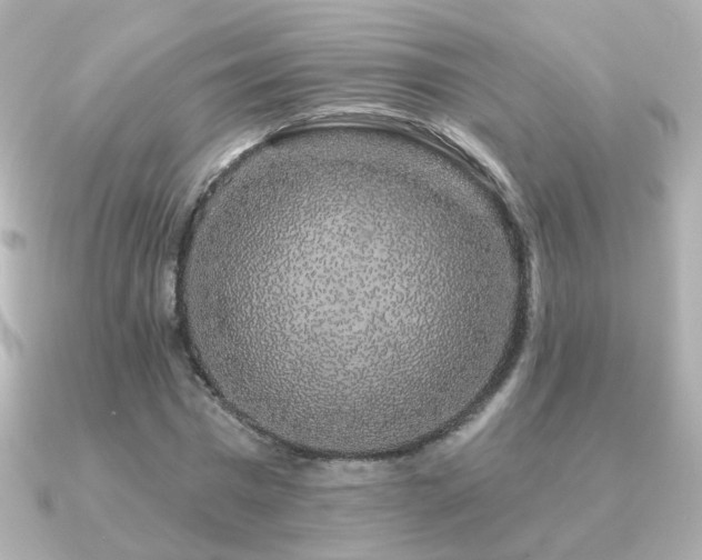 X0000091190777200708091248