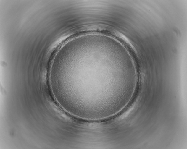 X0000091190778200708091248