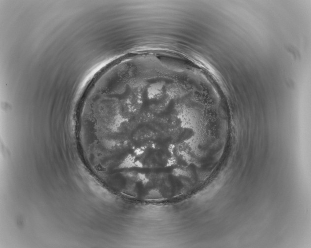 X0000091190779200708091248