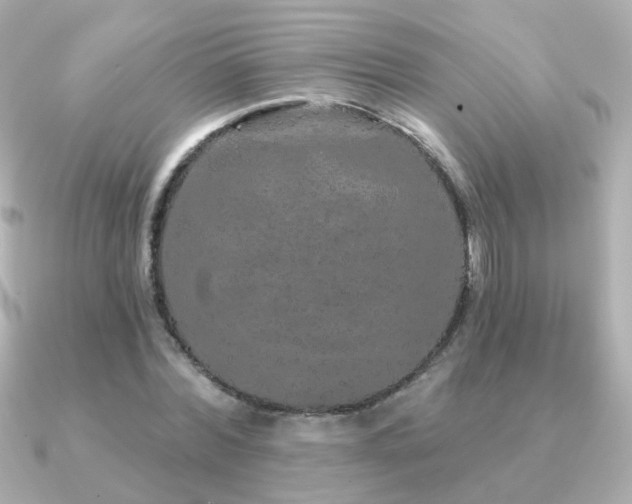 X0000091190780200708091248