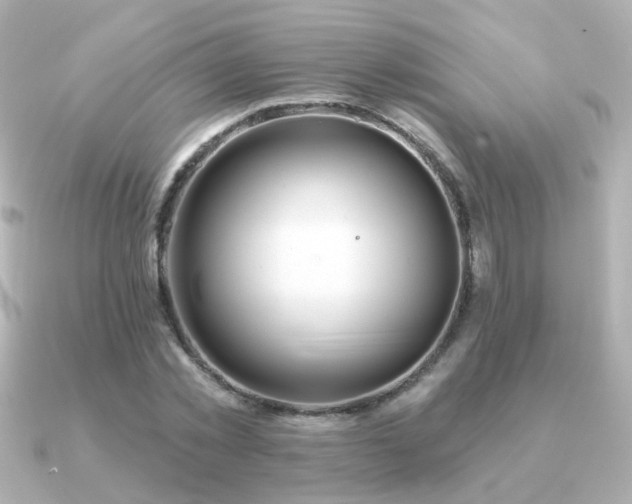 X0000091190781200708091248