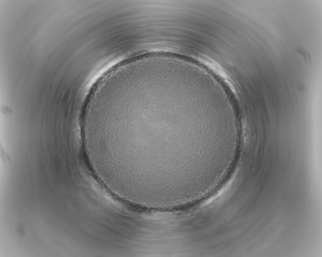 X0000091190782200708091248