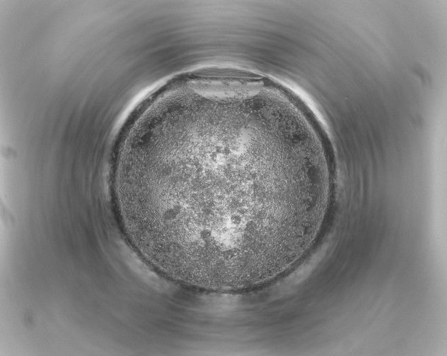 X0000091190783200708091248